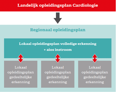 Samenhang opleidingsplannen